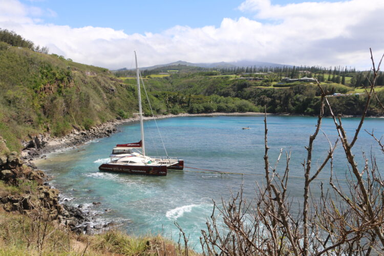 The company that owns the Hula Girl, a 65-foot catamaran that ran aground Jan. 31 in Maui’s Honolua-Mokulē‘ia Bay Marine Life Conservation District, has ag